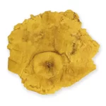 patacón precocido tipo exportación patacroonch
