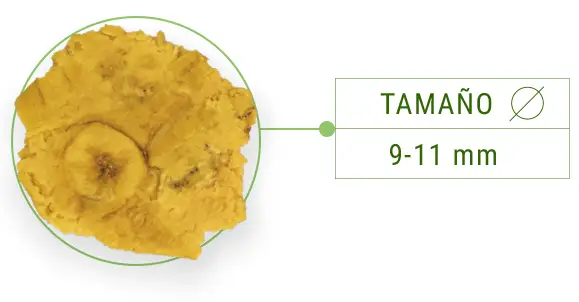 patacón precocido tipo exportación patacroonch tamaño